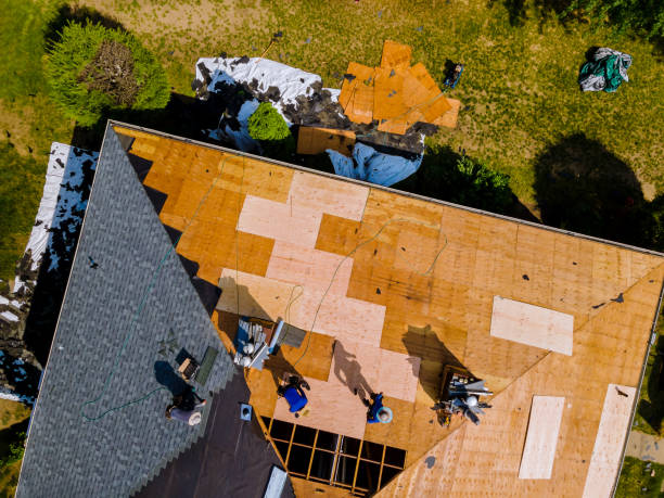 Best Roof Gutter Cleaning  in Kapn, LA