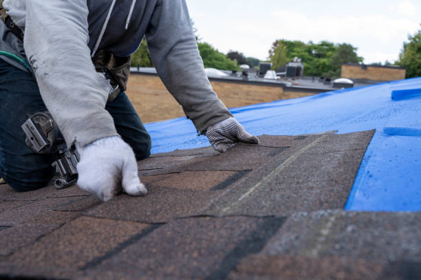 Best Local Roofing Companies  in Kapn, LA